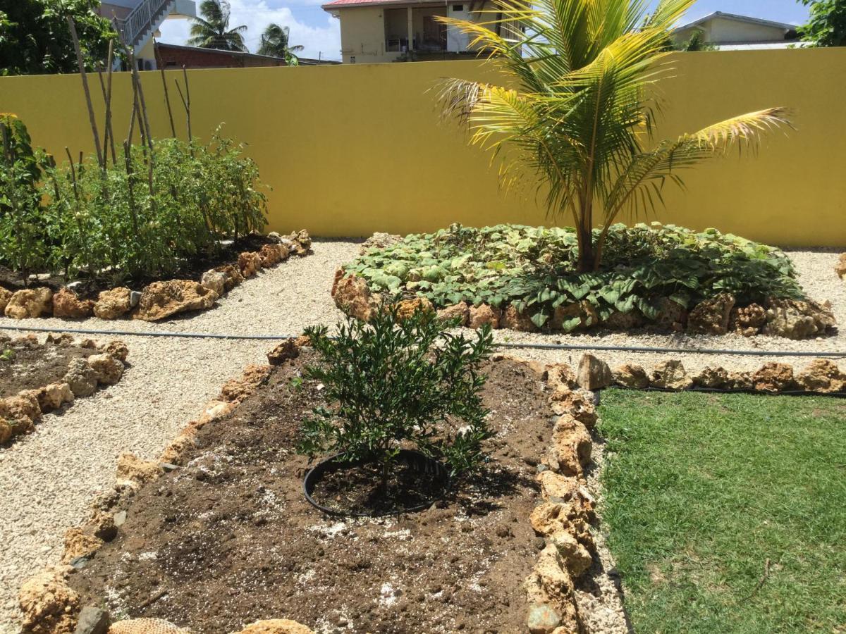 Lowlands Cc Best Villas Tobago מראה חיצוני תמונה